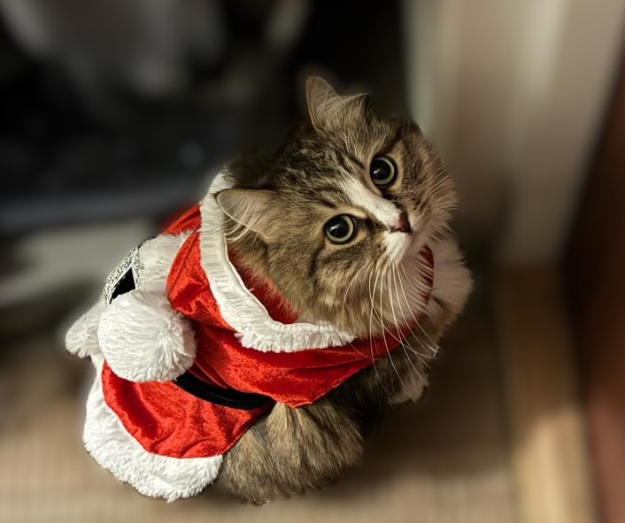 PDA‑prat med en nyskild pappa